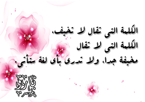 bntpal.com_145759896