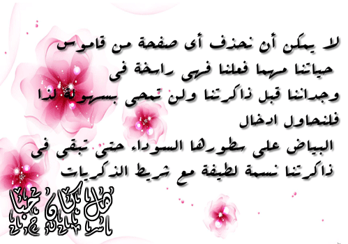 bntpal.com_145759896