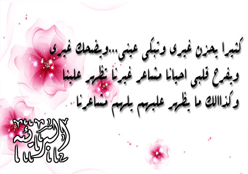 bntpal.com_145759896