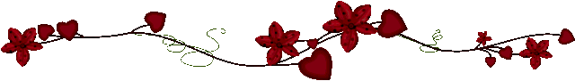 bntpal.com_145759926