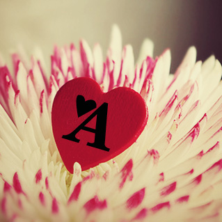 ♥ bntpal.com_145765281