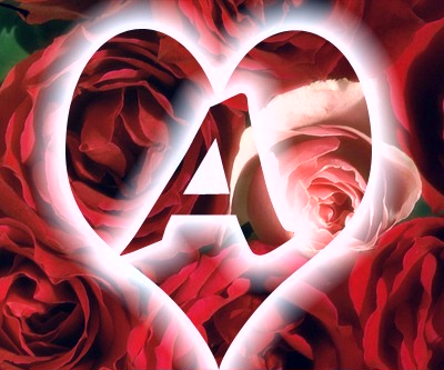 ♥ bntpal.com_145765281