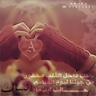 ♥ bntpal.com_145765326