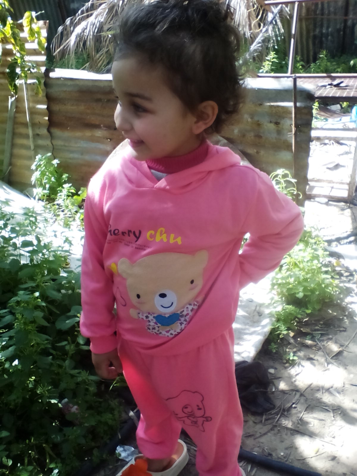  bntpal.com_145770037