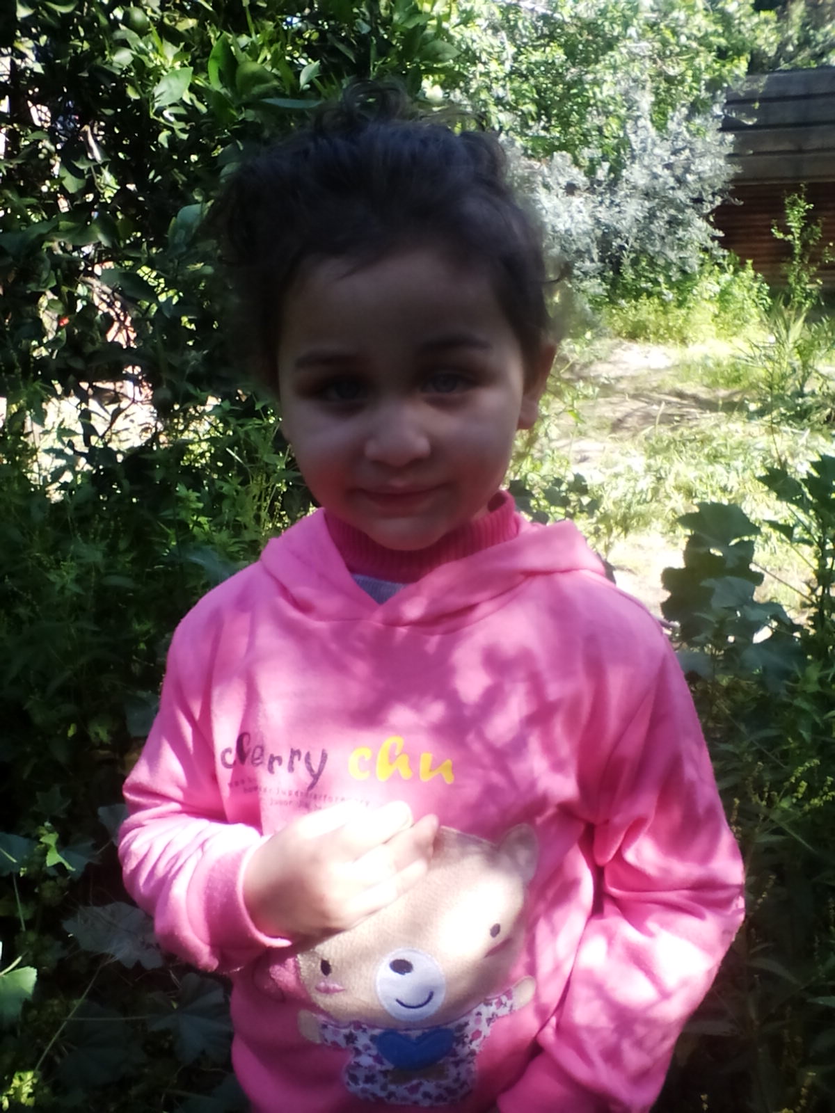  bntpal.com_145770037