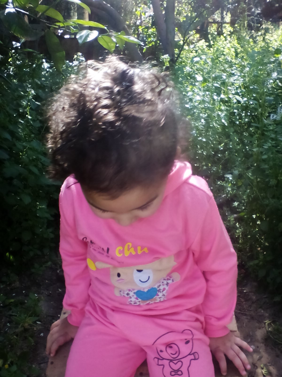  bntpal.com_145770037