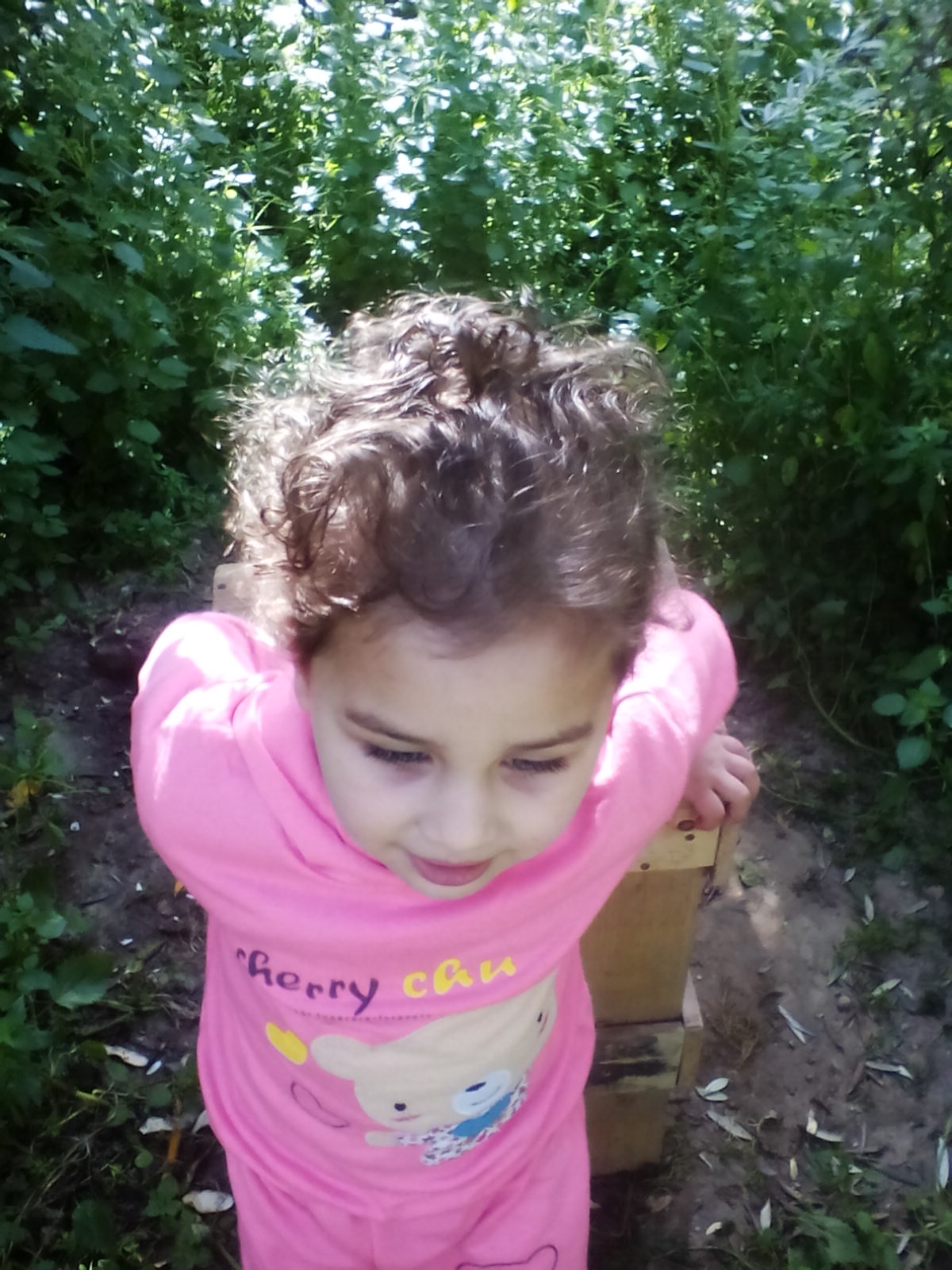  bntpal.com_145770037