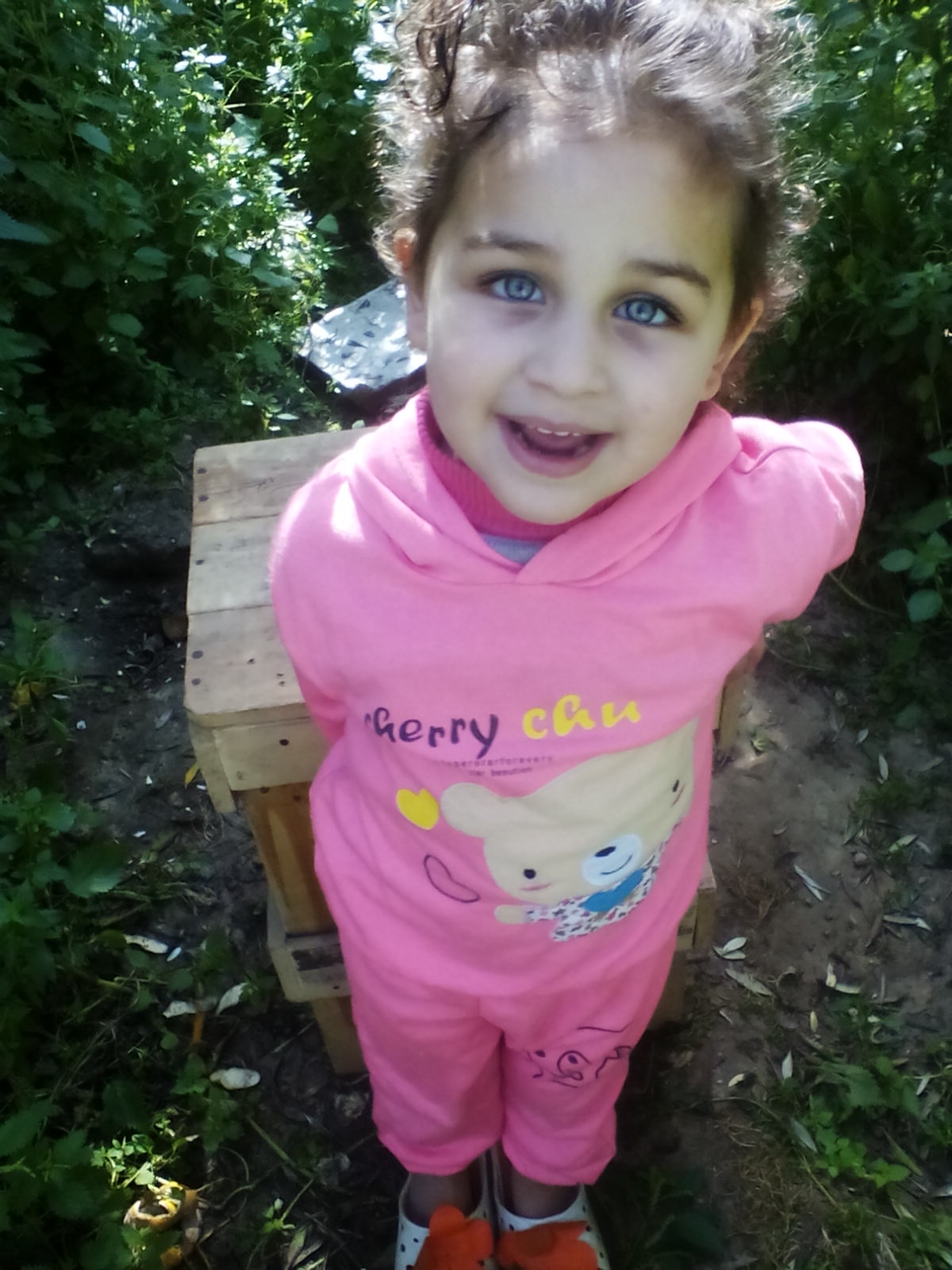  bntpal.com_145770037