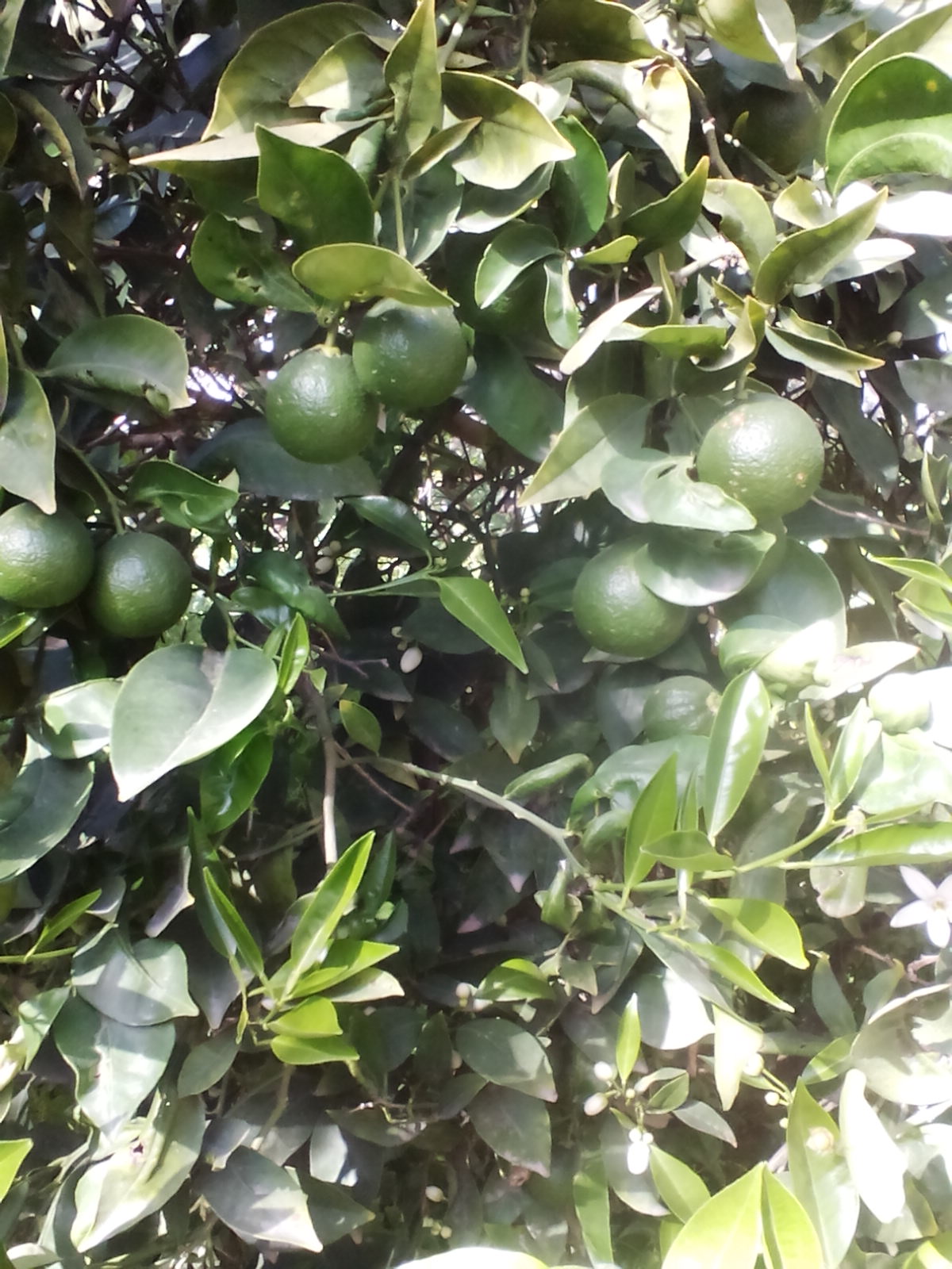  bntpal.com_145770037