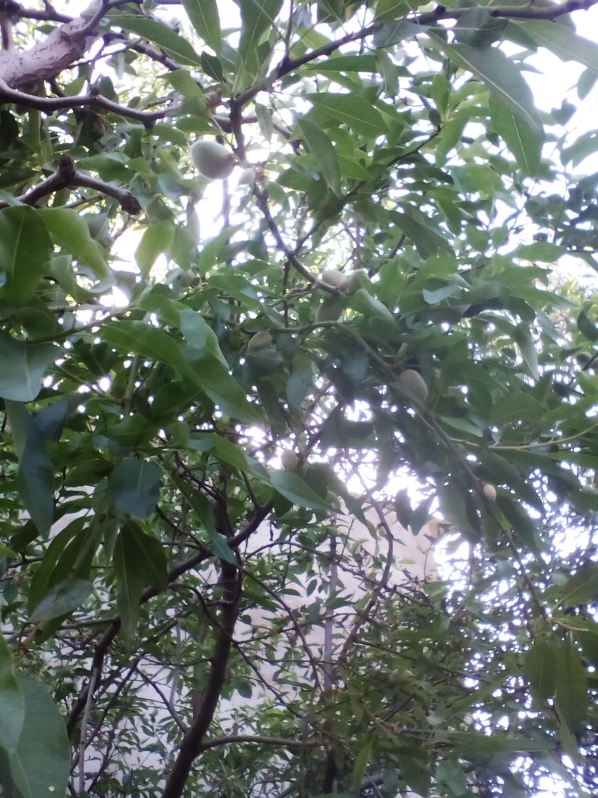  bntpal.com_145770037