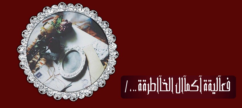  bntpal.com_145776268