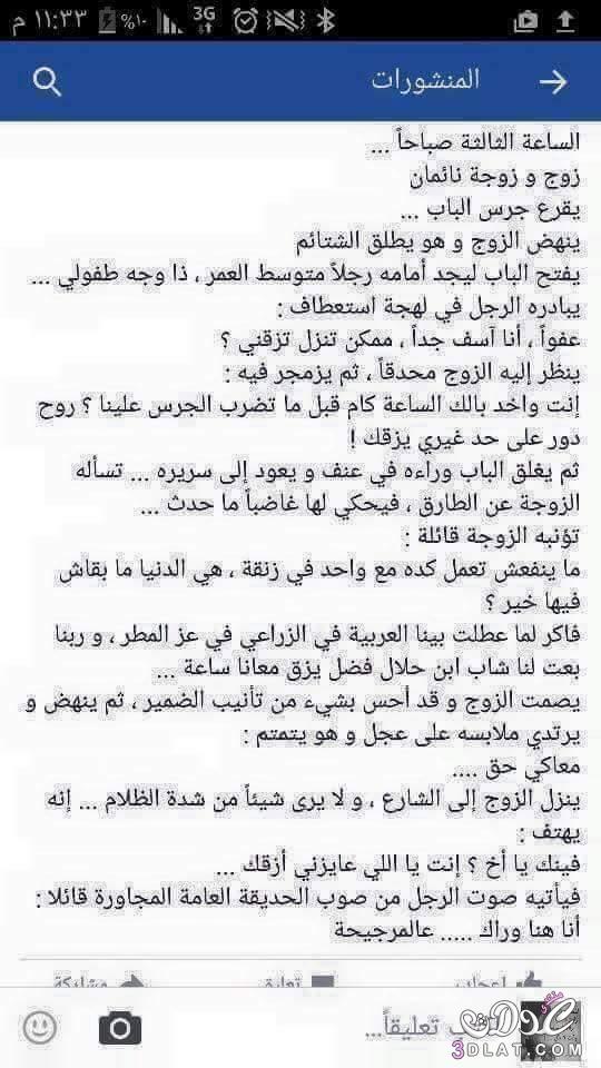 bntpal.com_145778142