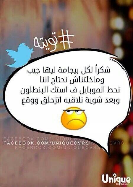 bntpal.com_145779204