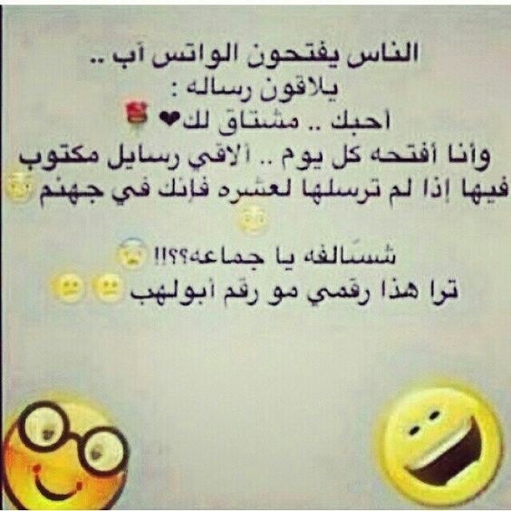 bntpal.com_145779204