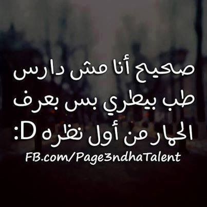 bntpal.com_145779204
