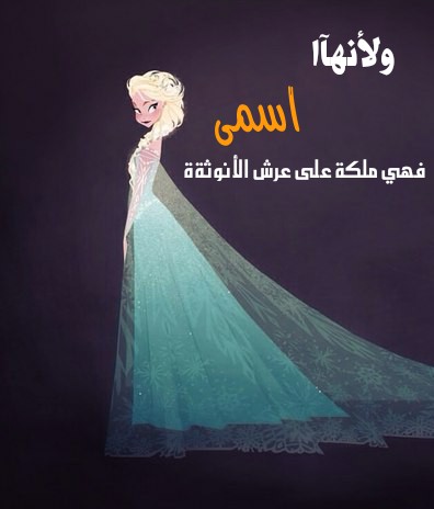 bntpal.com_145780552
