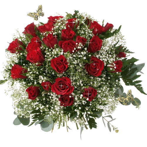  bntpal.com_145782088