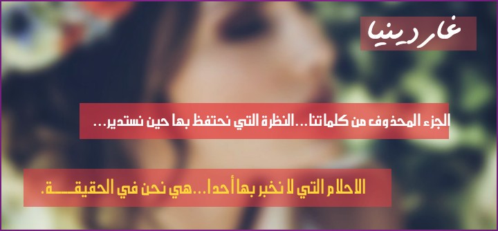   bntpal.com_145785155