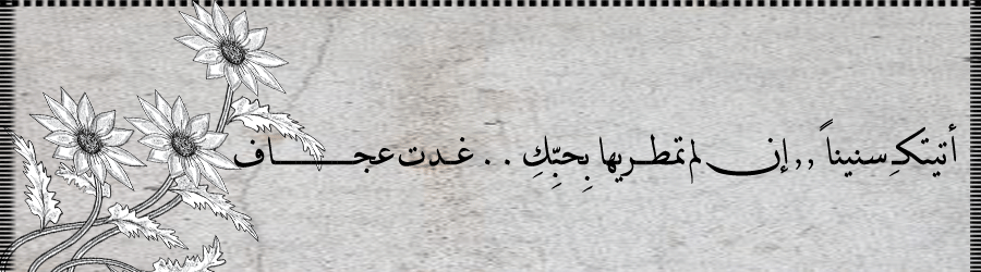 bntpal.com_145793591