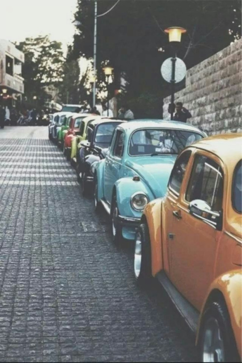  bntpal.com_145793814