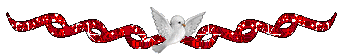   bntpal.com_145794833