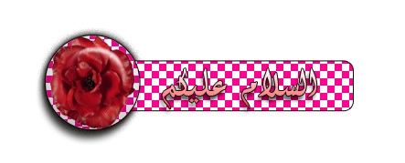   bntpal.com_145794833
