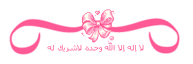   bntpal.com_145794868