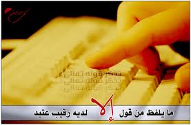   bntpal.com_145794916