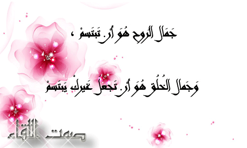 bntpal.com_145802902