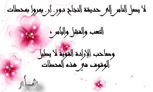 bntpal.com_145802902