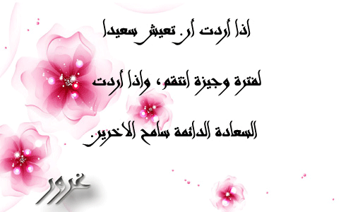 bntpal.com_145802902