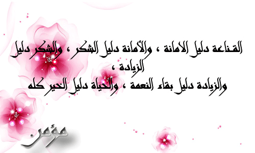 bntpal.com_145802914