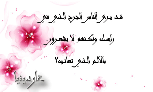bntpal.com_145802914