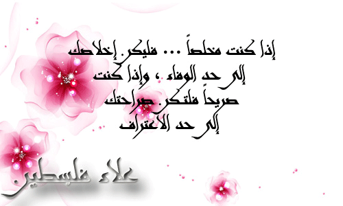 bntpal.com_145802914