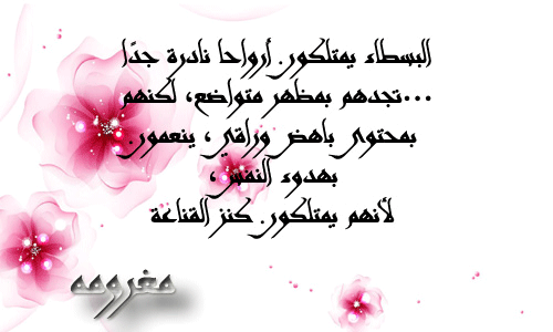 bntpal.com_145802924