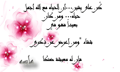 bntpal.com_145802924
