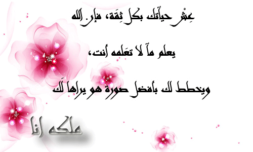 bntpal.com_145802924