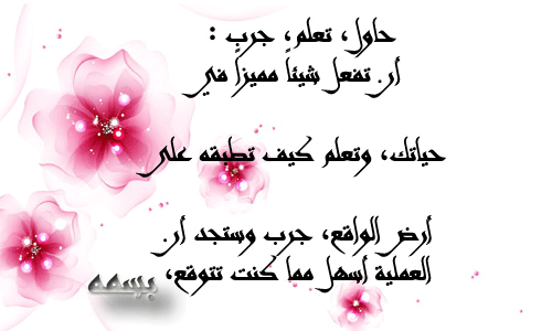 bntpal.com_145802924
