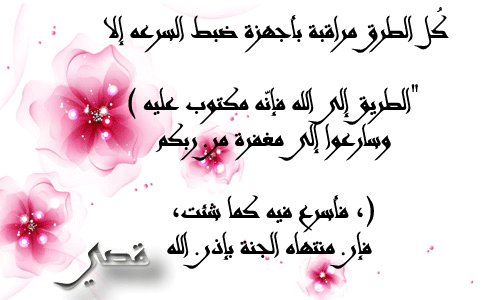 bntpal.com_145802924