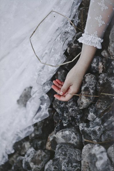    bntpal.com_145815100