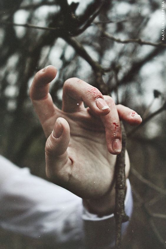    bntpal.com_145815100