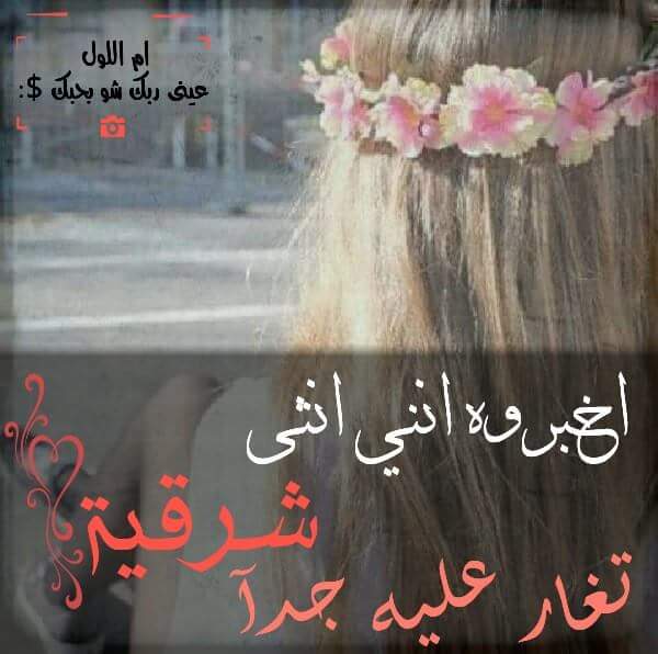 bntpal.com_145824187