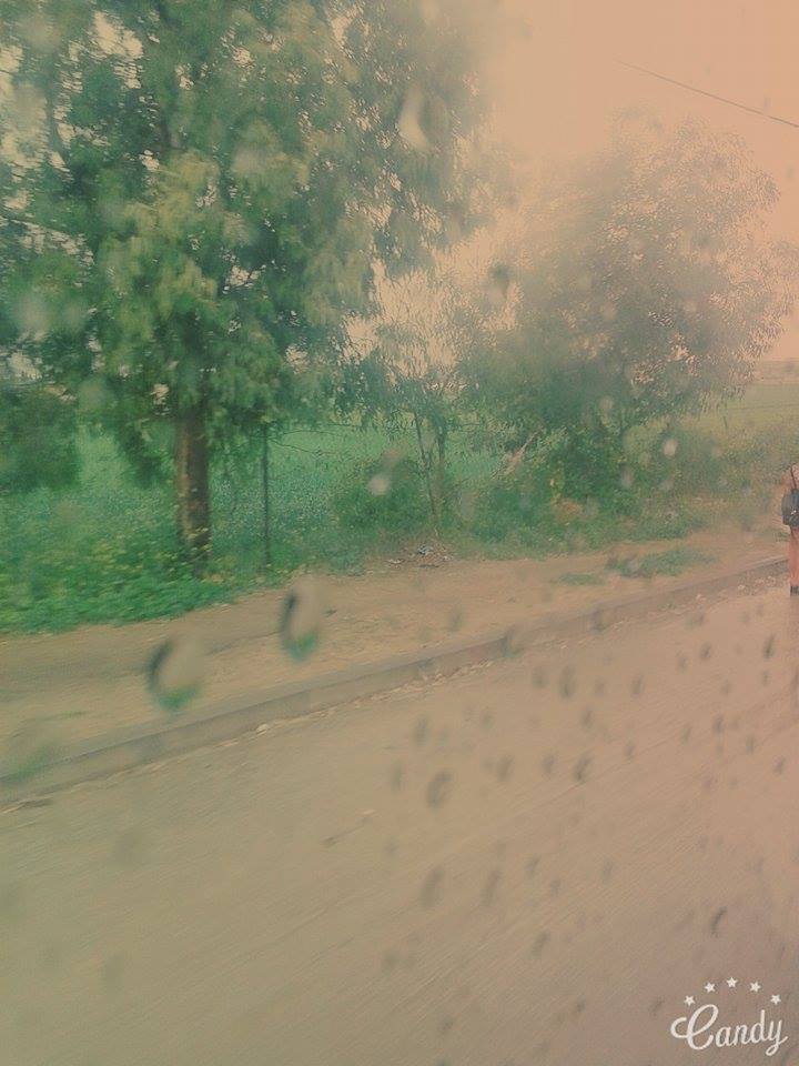  ., bntpal.com_145828892