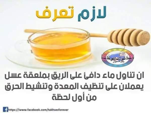  bntpal.com_145829334