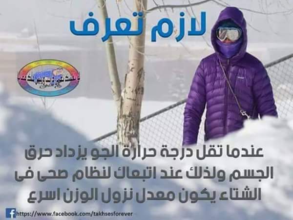  bntpal.com_145829334
