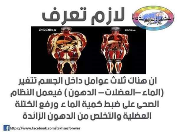  bntpal.com_145829334