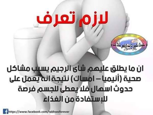  bntpal.com_145829334