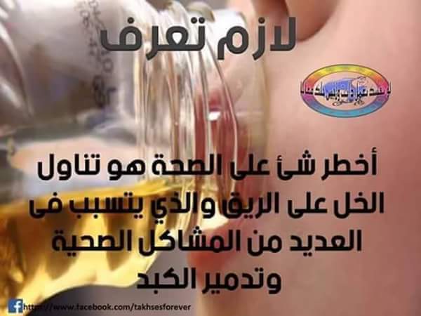 bntpal.com_145829334