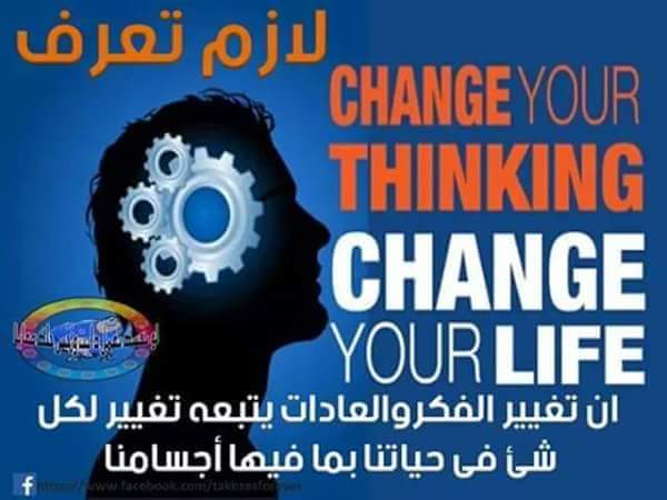  bntpal.com_145829346