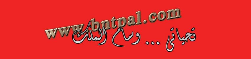   bntpal.com_145836941
